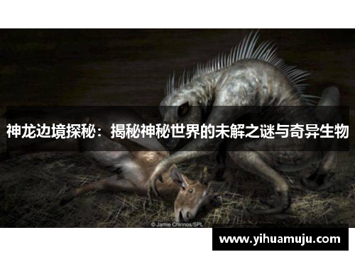 神龙边境探秘：揭秘神秘世界的未解之谜与奇异生物